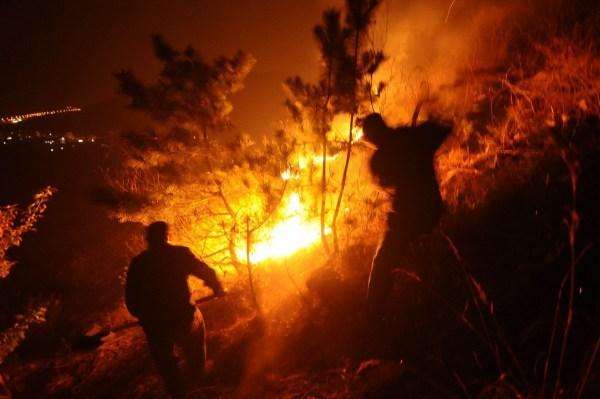 華瑞通熱成像：穩固清明“防火墻”