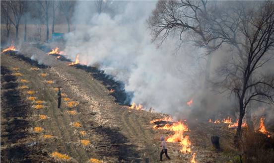 科學治理秸稈燃燒，共同守護綠水青山