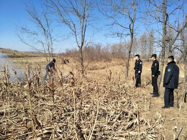 深讀|大連森林防火開創十六年來最好水平有啥