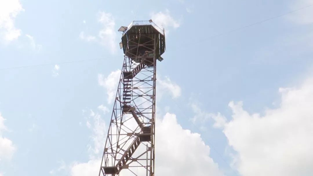 都是森林防火重點區(qū) 為何這里已經(jīng)12年零火情?