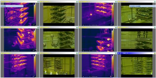 紅外熱像儀在線監測系統在換流站中的應用