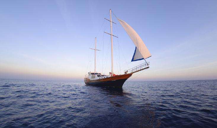 華瑞通海事航道視頻監控解決方案