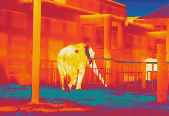 比傳統熱像儀更出色—手持熱像儀實拍