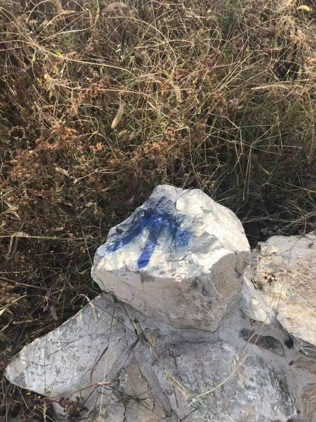 七賢街道完成森林防火卡口監控設備安裝、選址工作