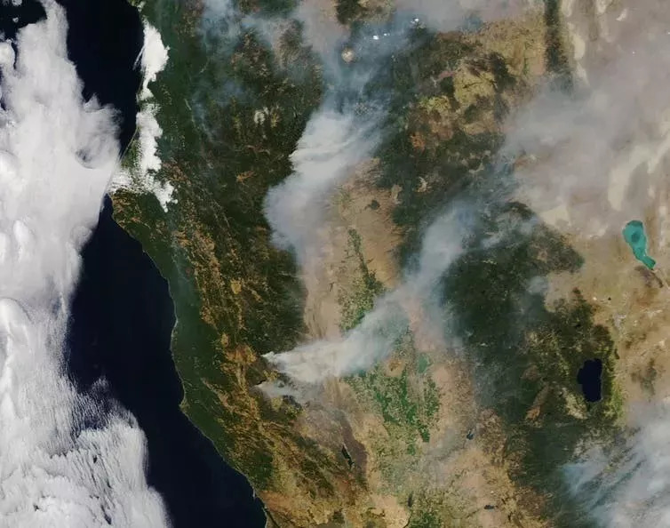 森林防火光電轉臺：我是森林的“智慧眼”