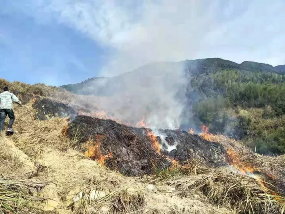 有了天上這幾只“大眼睛”，焚燒秸稈行為無所遁逃！