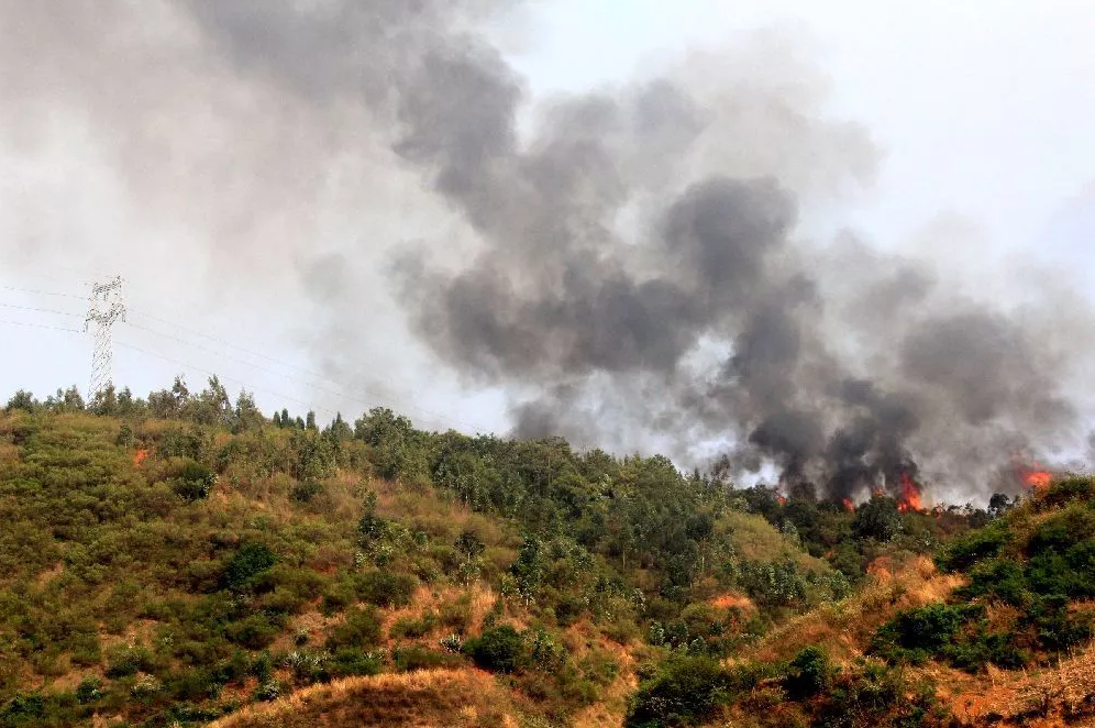當大風遇上山火，看電網人亮“神器”出絕招！