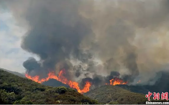 紅外熱成像儀在生活中被廣泛應用