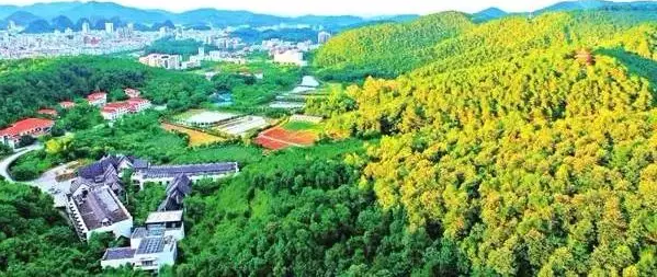 智能化生態環境監控系統