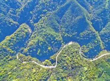 智能化，讓森林防火監控管護更“智慧”