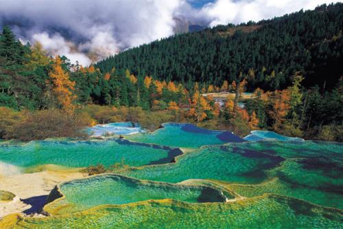 自然保護區管管理監控系統