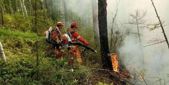 潼關(guān)縣加強林業(yè)管理 提升生態(tài)環(huán)境質(zhì)量