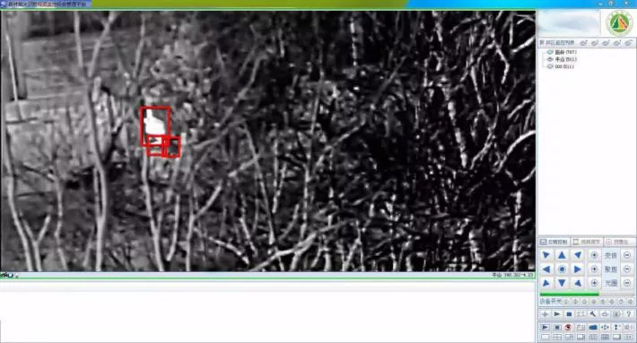 森林防火預警系統