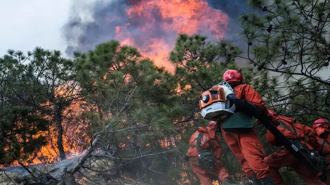 當心“火星”變“火海”，森林火災防控需要智慧化硬科技