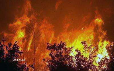 森林防火監控系統