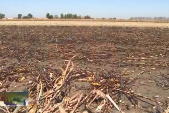 秸稈焚燒智能視頻監控系統