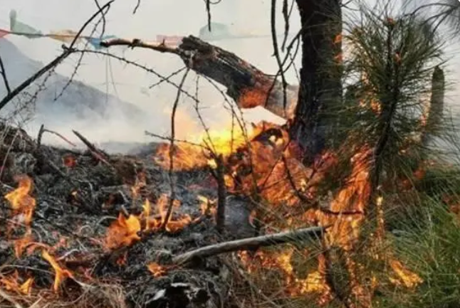 森林防火監控云臺攝像機