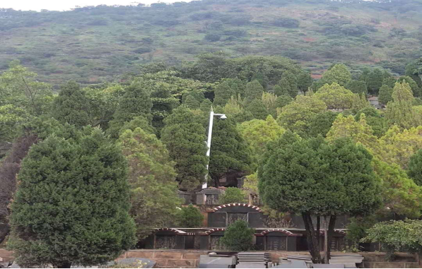 公園防火監控方案