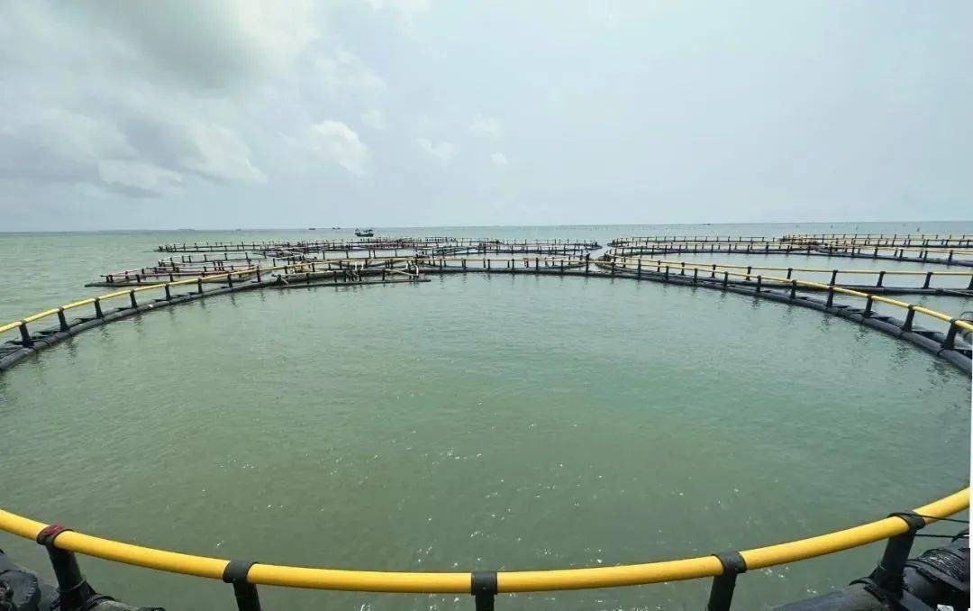 海域牧場實時防盜、防污染動態監視監測系統解決方案