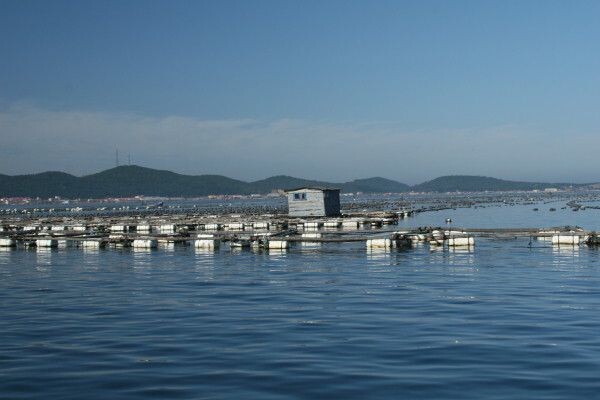 1海里沿海周邊船舶視頻識(shí)別監(jiān)控?cái)z像機(jī)怎么選型