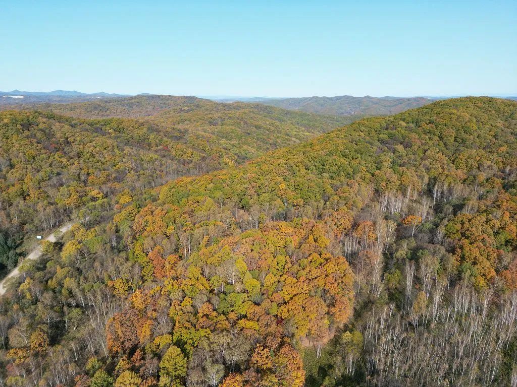 針對40000畝森林，如何選擇森林防火遠距離監控攝像機