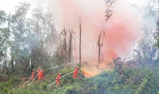 森林防火監控方案