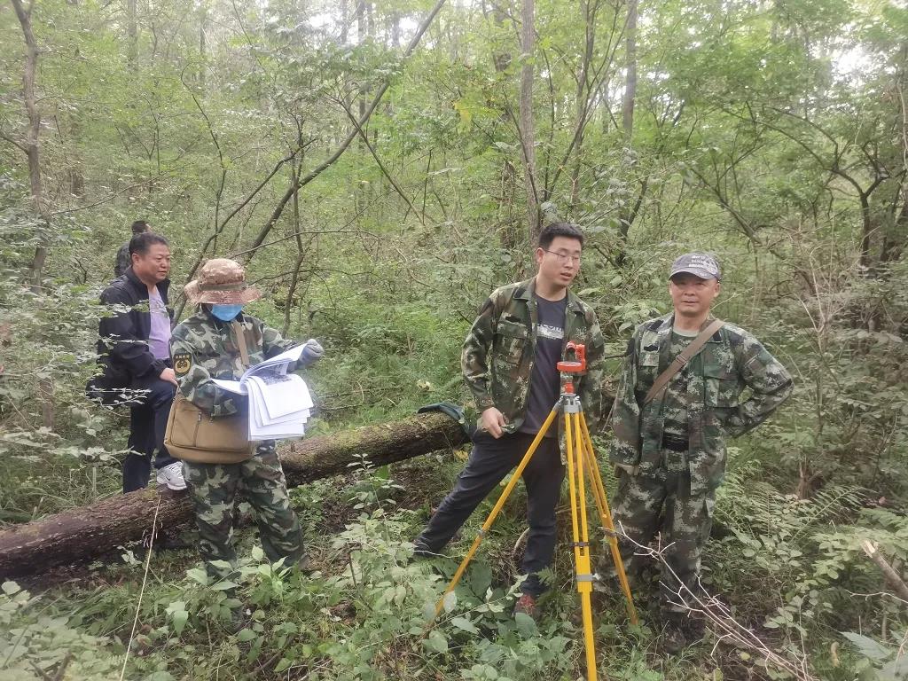 多維度解碼：森林防火監控攝像機的戰略價值與技術突破