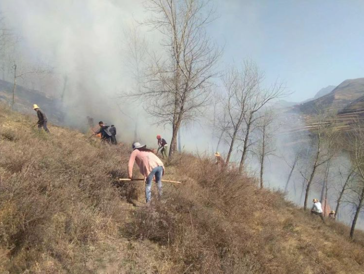 熱成像攝像機解決方案